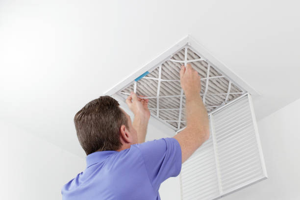 Best Air Duct Sanitizing Services  in Stevensville, MI